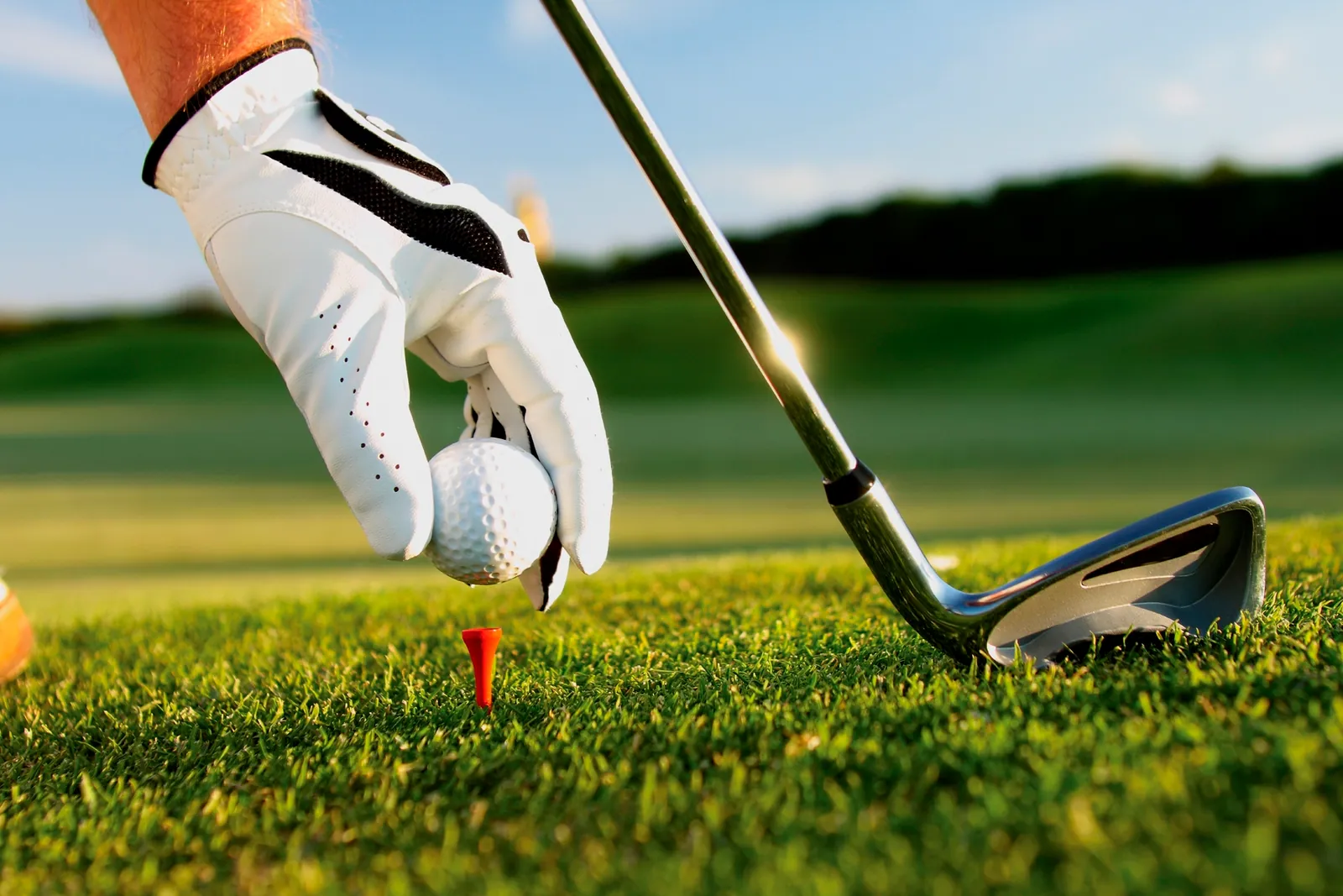 Campamento de golf sin clases de español
